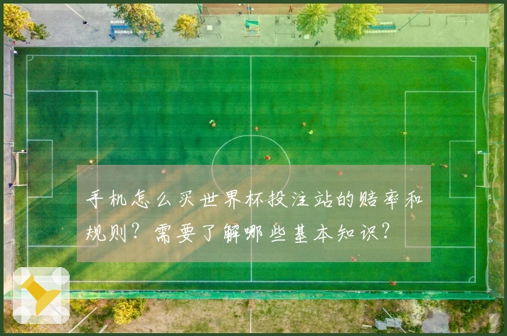 手机怎么买世界杯投注站的赔率和规则？需要了解哪些基本知识？