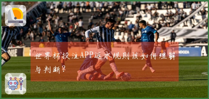 世界杯投注APP返水规则该如何理解与判断？