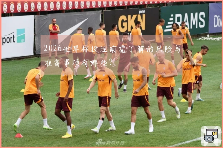 2026世界杯投注前需了解的风险与准备事项有哪些？