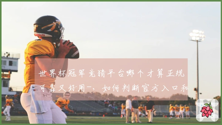 世界杯冠军竞猜平台哪个才算正规可靠又好用-，如何判断官方入口和避免被骗
