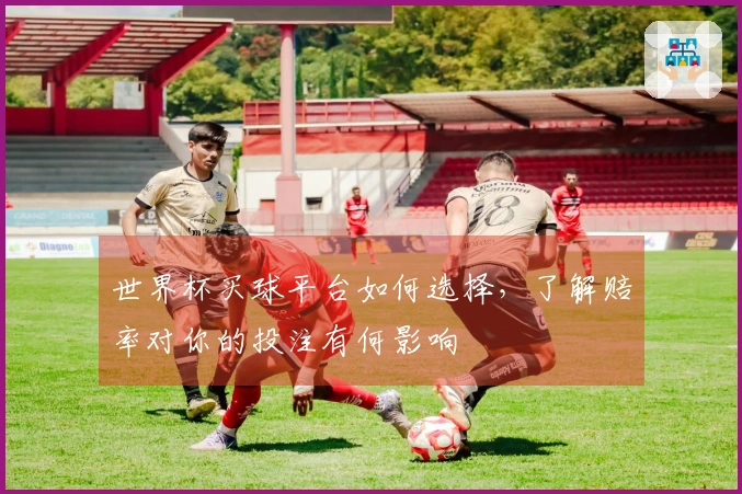 世界杯买球平台如何选择，了解赔率对你的投注有何影响