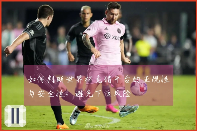 如何判断世界杯竞猜平台的正规性与安全性，避免下注风险