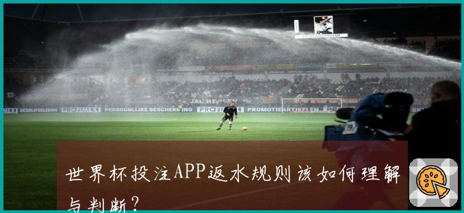 世界杯投注APP返水规则该如何理解与判断？