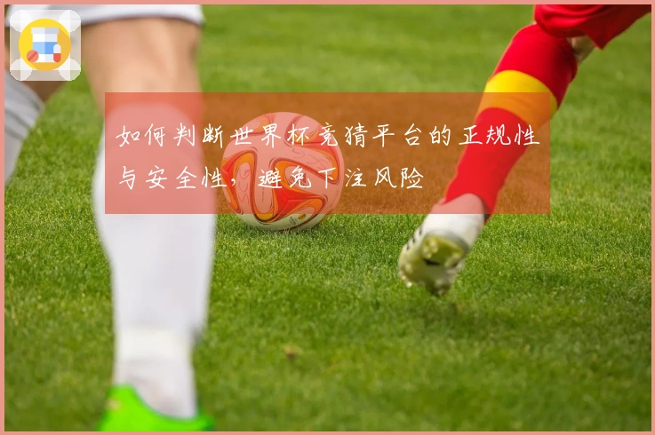 如何判断世界杯竞猜平台的正规性与安全性，避免下注风险