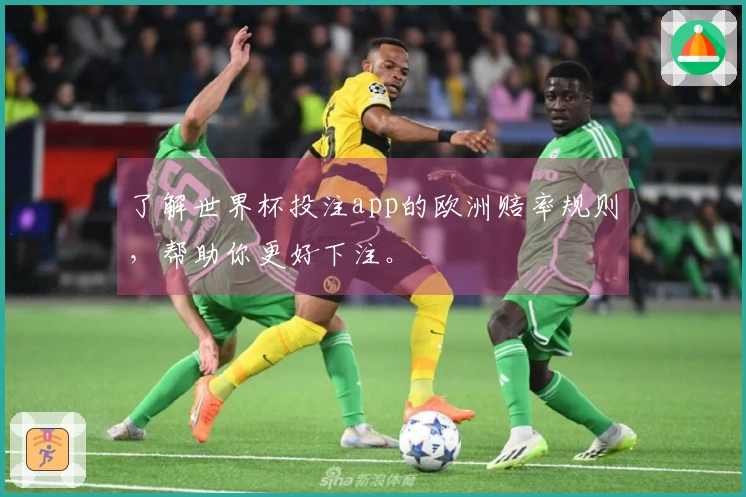 了解世界杯投注app的欧洲赔率规则，帮助你更好下注。