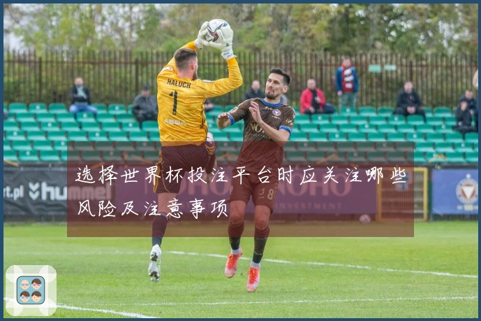 选择世界杯投注平台时应关注哪些风险及注意事项