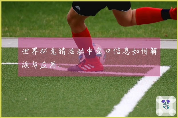 世界杯竞猜活动中盘口信息如何解读与应用。