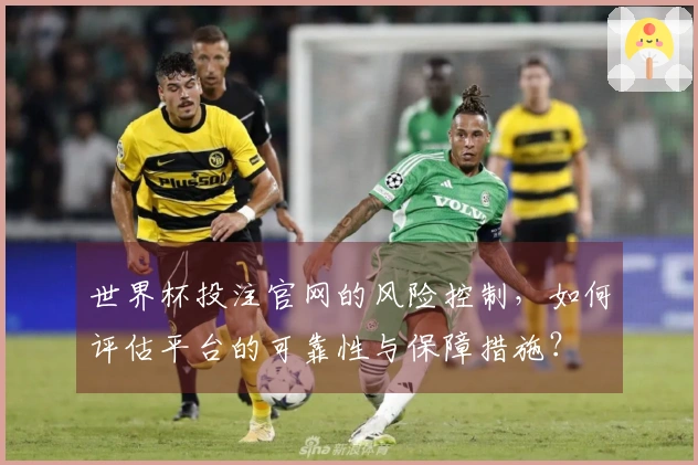 世界杯投注官网的风险控制，如何评估平台的可靠性与保障措施？